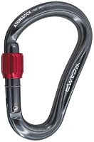 Отличные цены на Карабин CAMP ATOM LOCK в интернет-магазине www.absmarkt.ru и в пункте выдачи в Самаре. Заказать товары по телефону 8 (846) 205-04-02.